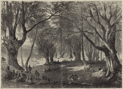 Uma vista na floresta de Epping de English School