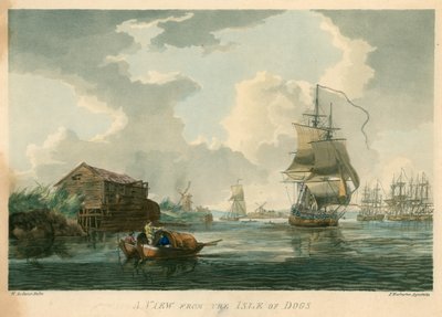 Uma visão da Ilha dos Cães de English School
