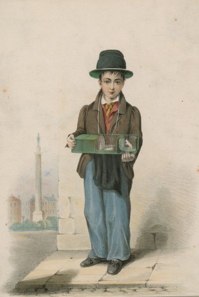Um, menino jovem, retratado, segurando, um, gaiola, contendo, branca, ratos de English School