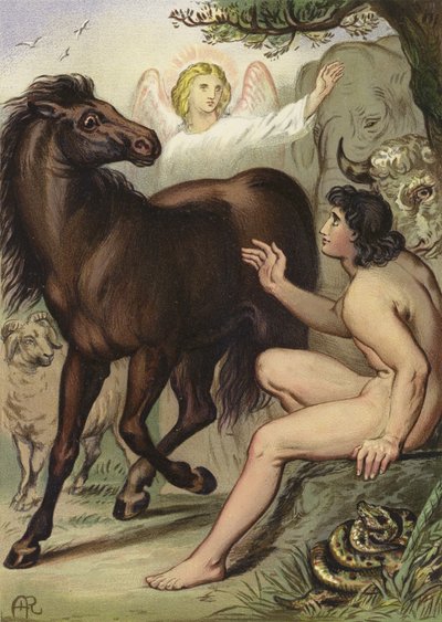 Adam nomeando os animais de English School