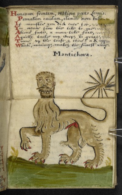 Adicionar MS 57312 f.11 Game-book (tinta e cor no velino) de English School