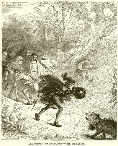 Aventura de Colombo com uma Iguana de English School