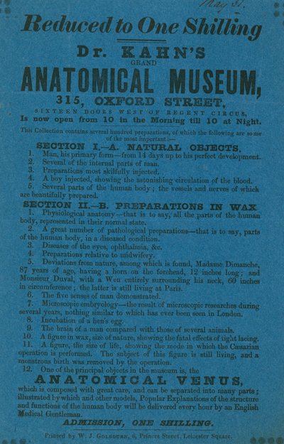 Anúncio de Museu Anatómico Dr. Khans Grant de English School