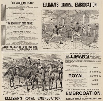 Anúncio, Embroca de Elliman (gravura) de English School