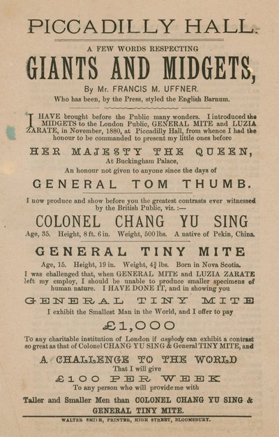 Propaganda para gigantes e anões de English School