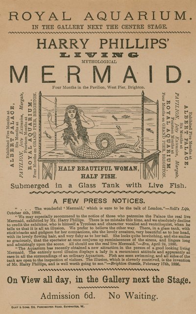 Anúncio para Harry Phillips Living Mythological Mermaid de English School