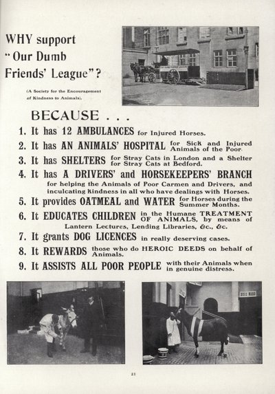 Propaganda para a nossa liga de amigos idiotas de English School