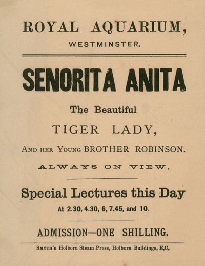 Anúncio para Senorita Anita de English School