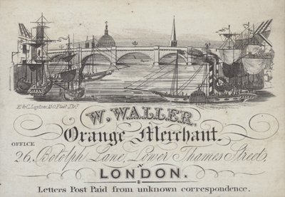 Anúncio para W Waller, Orange Merchant, Londres (litho) de English School