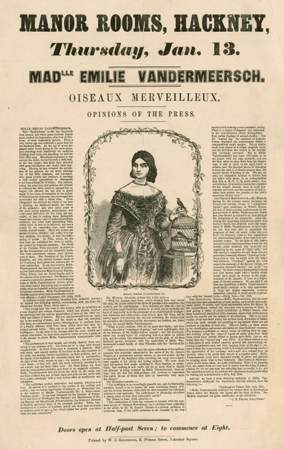 Anúncio para o aparecimento de Mademoiselle Emilie Vandermeersch, Oiseaux Merveilleaux no Manor Rooms, Hackney, Londres de English School