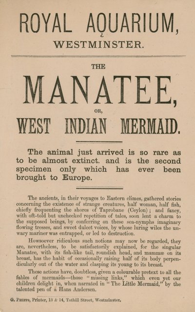 Anúncio para o peixe-boi de English School