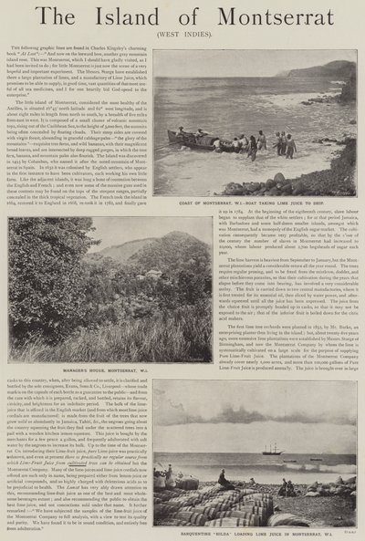 Anúncio, a Ilha de Montserrat, Índias Ocidentais (gravura) de English School