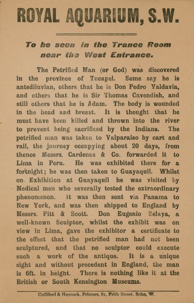 Propaganda para o homem petrificado de English School