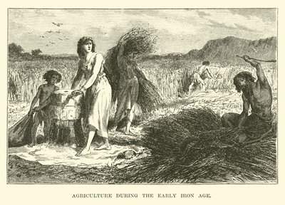 Agricultura durante o início da Idade do Ferro de English School