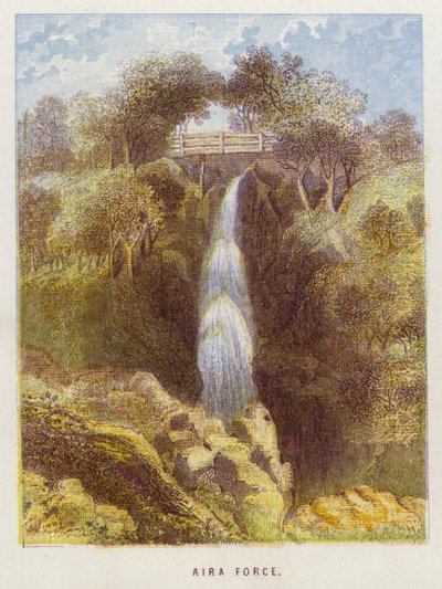 Força Aira (cor litho) de English School