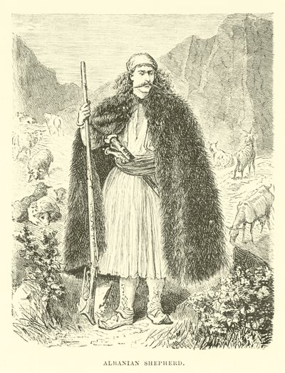 Pastor albanês de English School