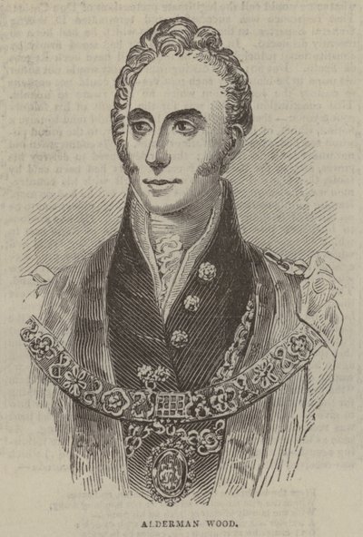 Alderman Wood de English School