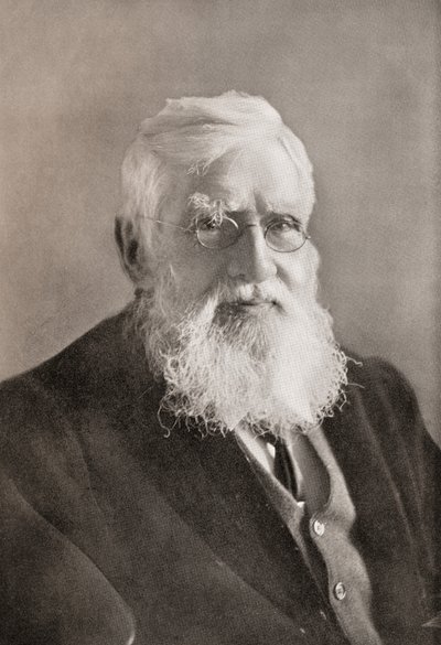 Alfred Russel Wallace, de "The Year" (O Ano) de English School