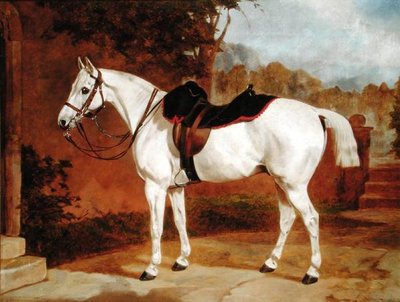 Ali, Retrato de um Cavalo (óleo sobre tela) de English School