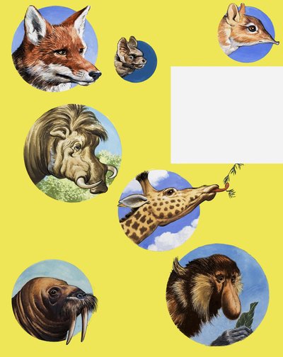 Todos os tipos de Muzzles e Snouts de English School