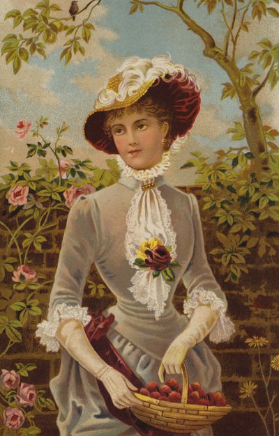 Tudo numa Feira de Jardim (cromolitho) de English School