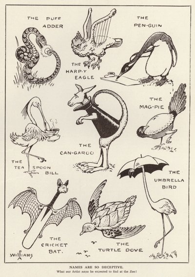 Animais divertidos (litho) de English School