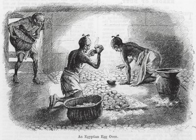 Um forno de ovos egípcio (gravura) de English School