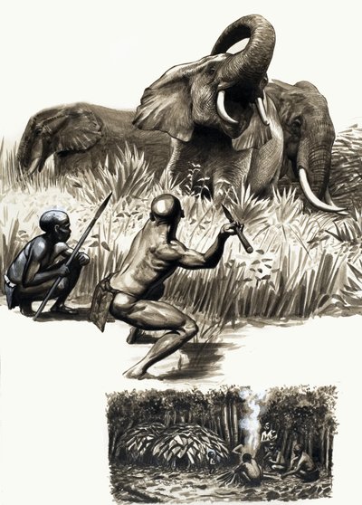 Povos Antigos do Mundo: Pequenos Caçadores da Selva de English School