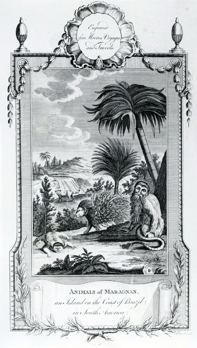 Animais de Maragnan, ilustração tirada de Moores Voyages and Travels, 1778 de English School