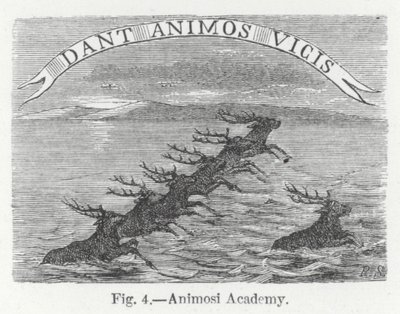 Academia Animosi (gravura) de English School