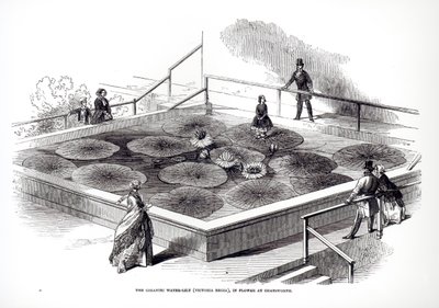 Annie Paxton na Victoria regia waterlily no Grande Conservatório de Chatsworth, 1849 de English School