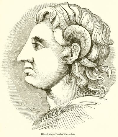 Cabeça antiga de Alexandre de English School