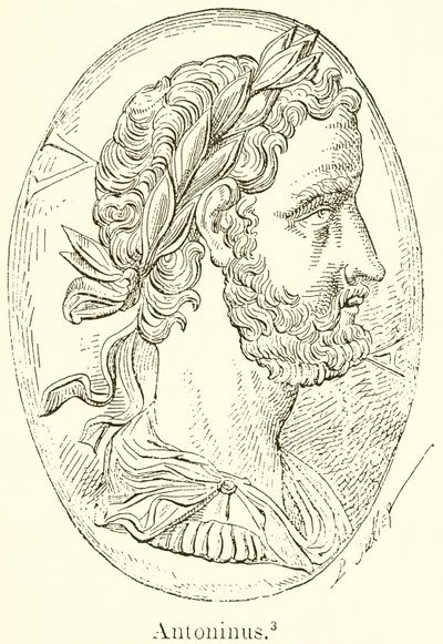 Marcus de English School