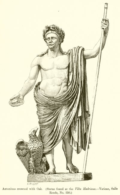 Antonino coroado com carvalho. (Estátua encontrada na Villa Hadriana. - Vaticano, Salle Ronde, nº 550) de English School