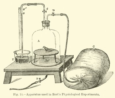 Aparelho usado em experimentos fisiológicos de Berts de English School