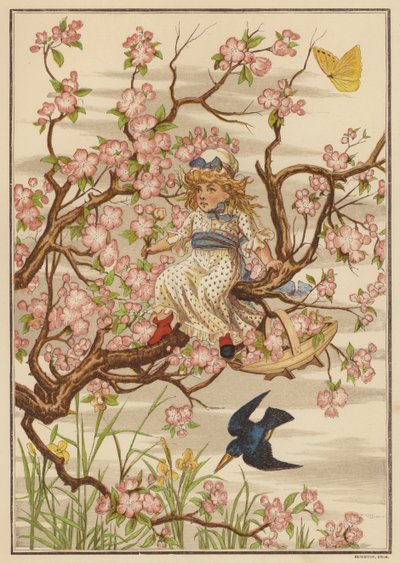 Flor de maçã (cor litho) de English School