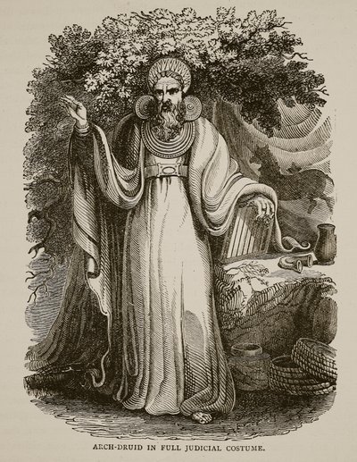 Arch-Druid em traje judicial completo de English School
