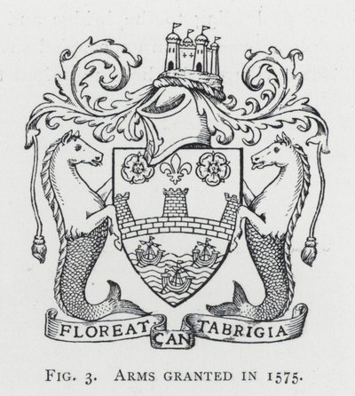Braços concedidos em 1575 (gravura) de English School