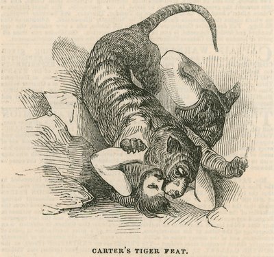 Anfiteatro Astleys, Londres - Façanha do tigre de Carters de English School