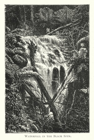 Austrália: Waterfall in the Black Spur (gravura) de English School