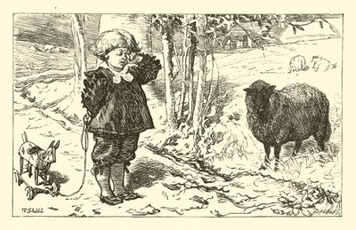 Baa, Baa, Ovelha Negra de English School