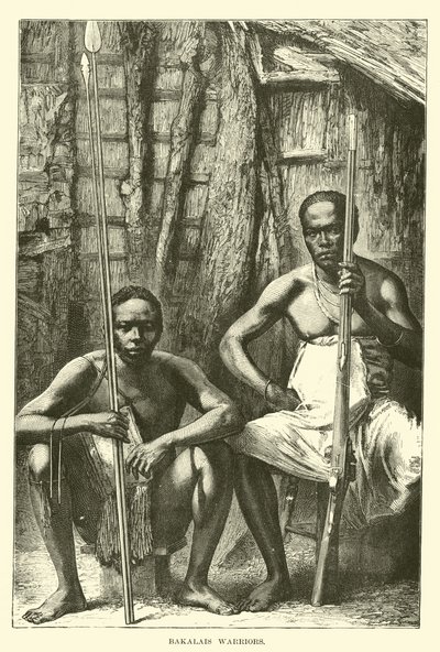 Guerreiros Bakalais de English School