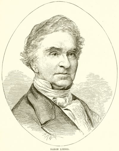 Barão Liebig de English School