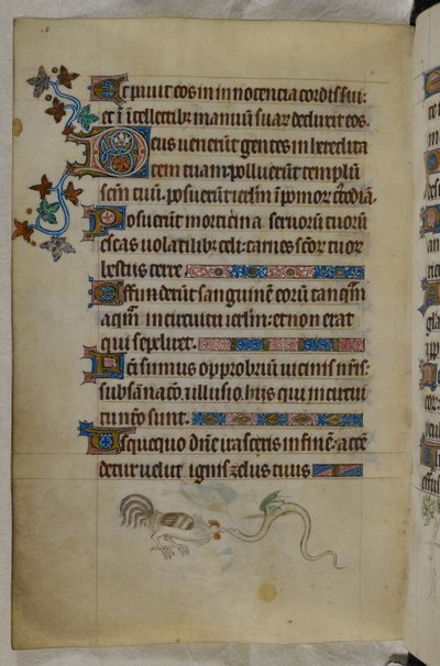 Cena de fundo de página de um galo e de uma serpente alada em luta, com uma inicial "D"(eus) decorada, Saltério ("The Queen Mary Psalter"), Royal MS 2 B VII, f.187v, c.1310-20 (velino) de English School