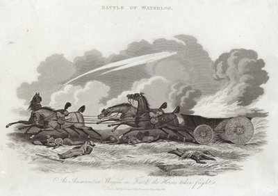 Batalha de Waterloo de English School
