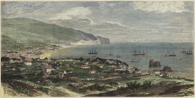 Baía e cidade do Funchal de English School