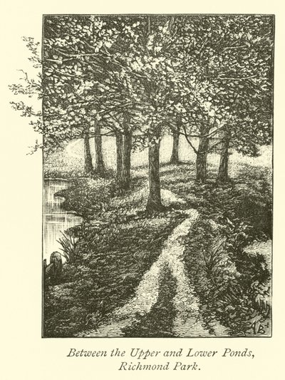 Entre as lagoas superior e inferior, Richmond Park de English School