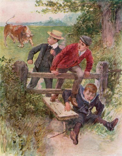 Cuidado com o touro! (cor litho) de English School