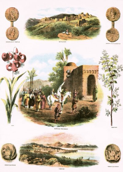 Ilustrações bíblicas de English School