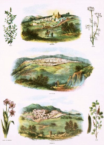 Ilustrações bíblicas de English School